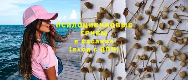 экстази Арсеньев
