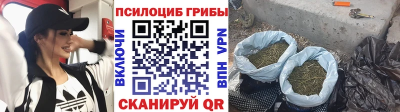 кракен наркота Усть-Кут Галлюциногенные грибы прущие грибы